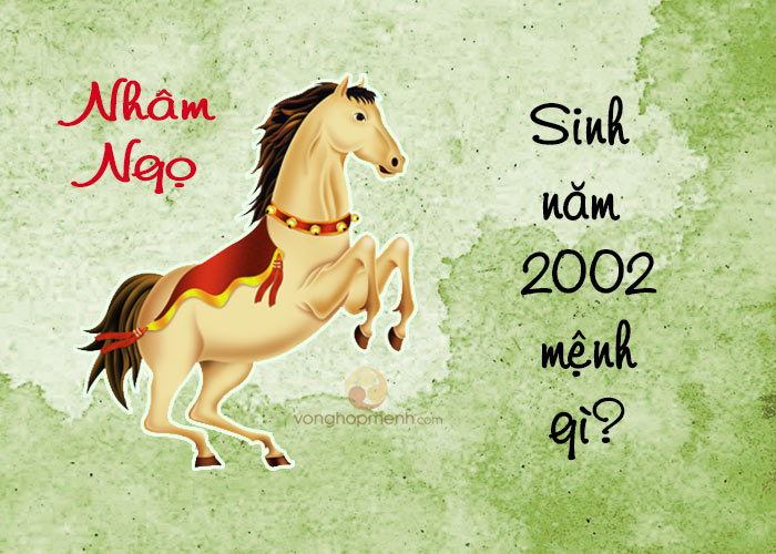 Sinh năm 2002 mệnh gì